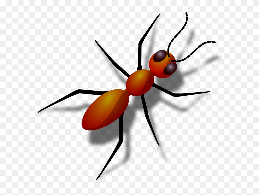 Ant Squash Free Content Clip Art - Animal That Has 6 Legs - Png Download