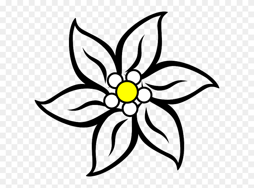 Edelweiss Black Wavy Stripes Picture - Edelweiss Clipart - Png Download