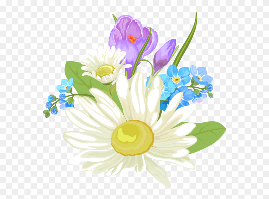 Camomile Clipart