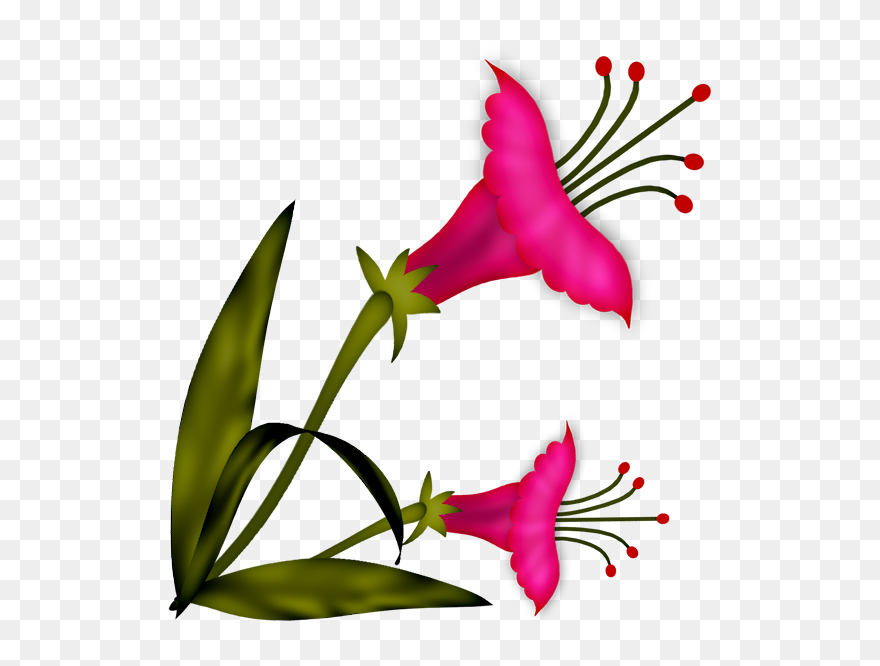 Flower Clipart