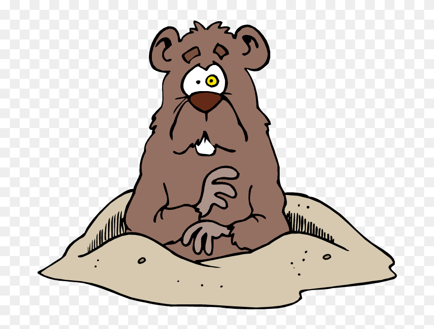 Transparent Walrus Clipart - Wood Chucker - Png Download