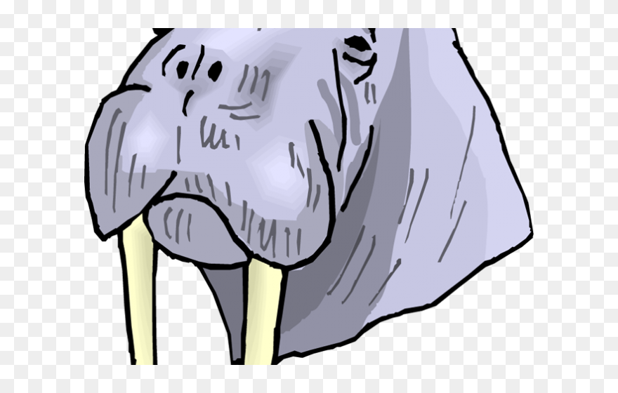 Baseball Walrus Cliparts - Clip Art - Png Download
