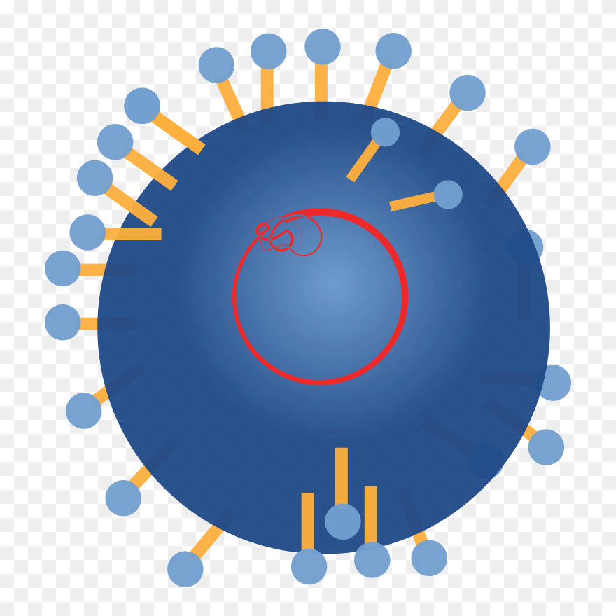 Rna Virus - Rna Virus Clipart - Png Download