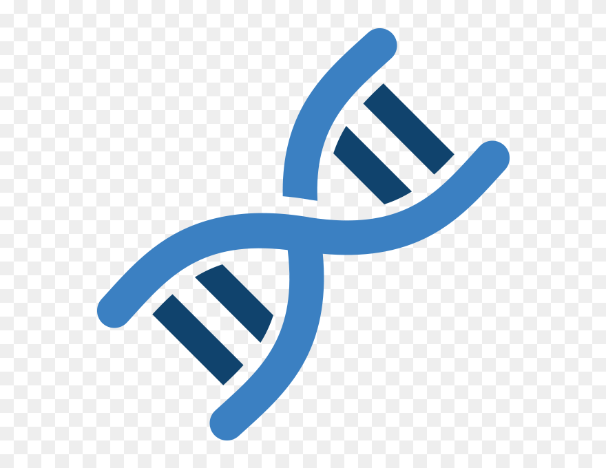Dna Image Free Transparent Image Hq - Dna Png Clipart