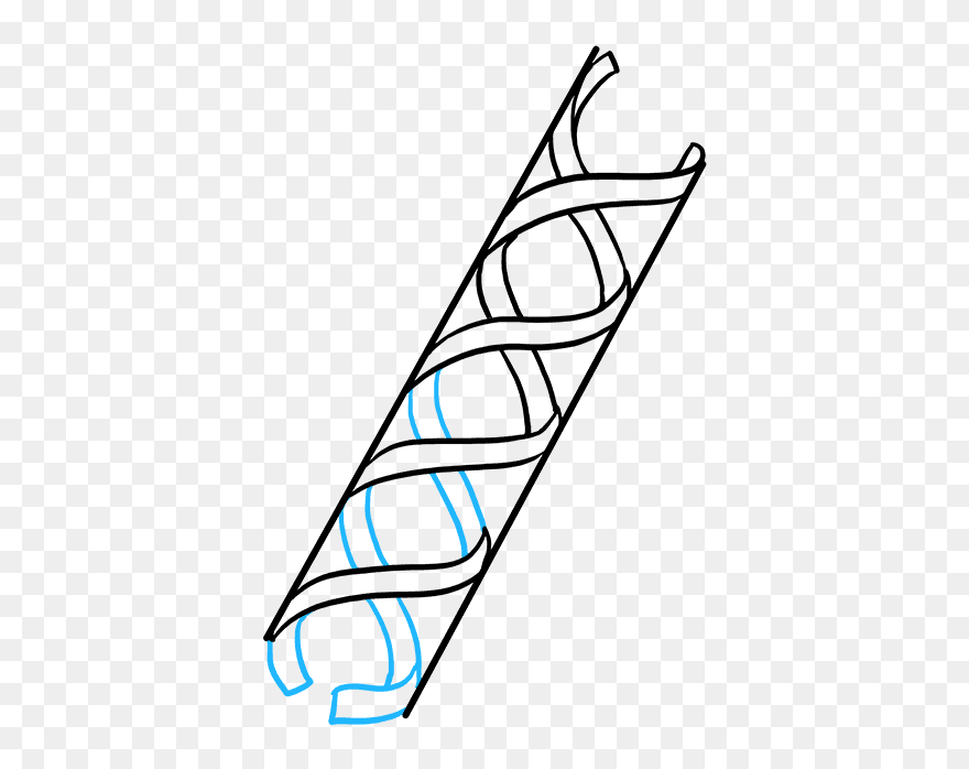 How To Draw Dna - Dna Drawing Step By Step Clipart