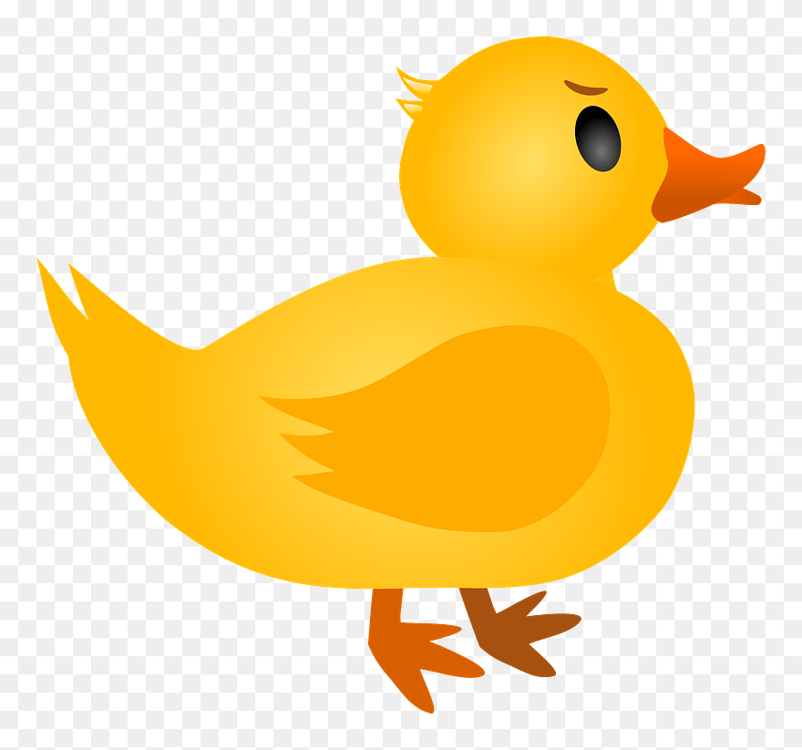 Duck Clipart - Duck - Png Download