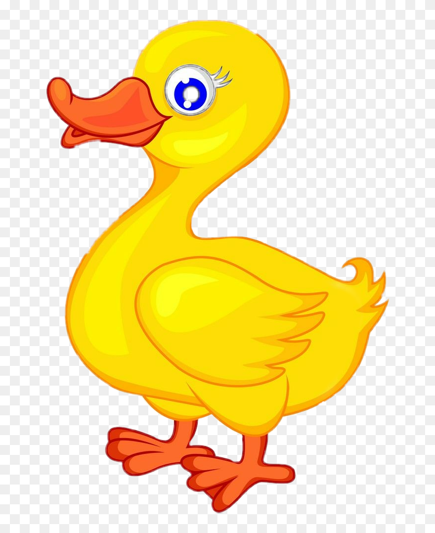 #ducky #rubberducky #duck 
#animals #feathers #yellowducky
#swimming - Cartoon Image Of Duck Clipart