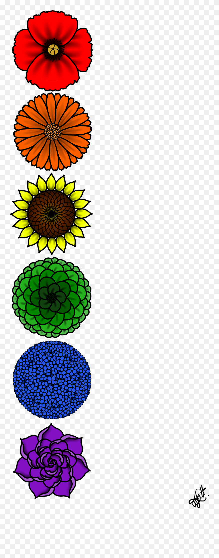Sunflower Clipart