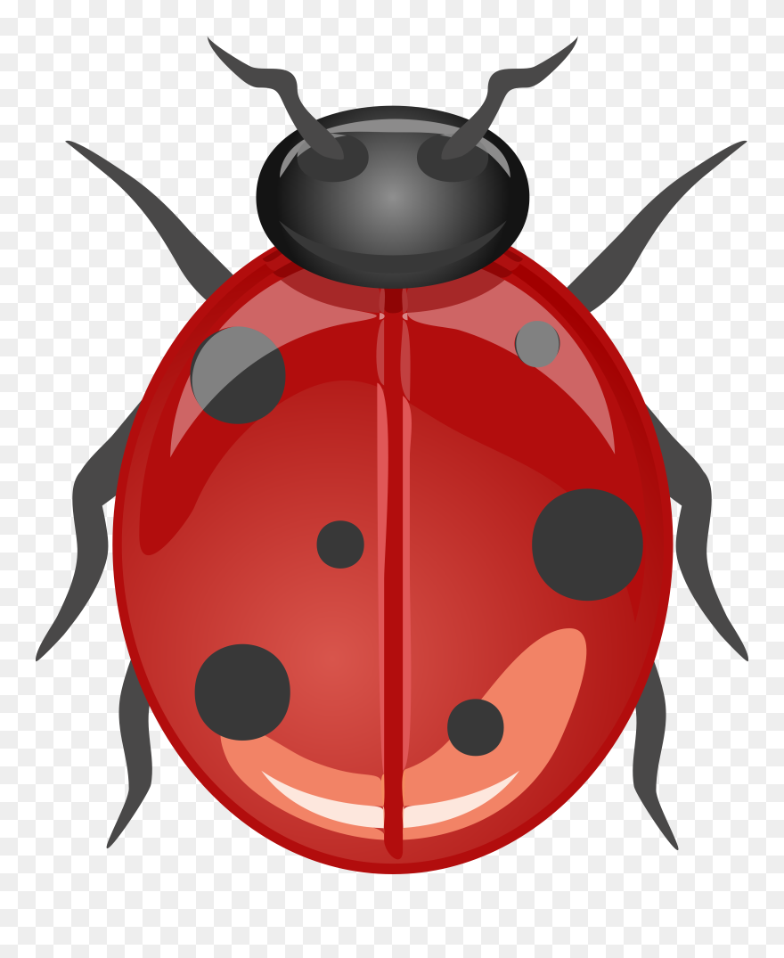 Crawling Insect Clipart - Png Download
