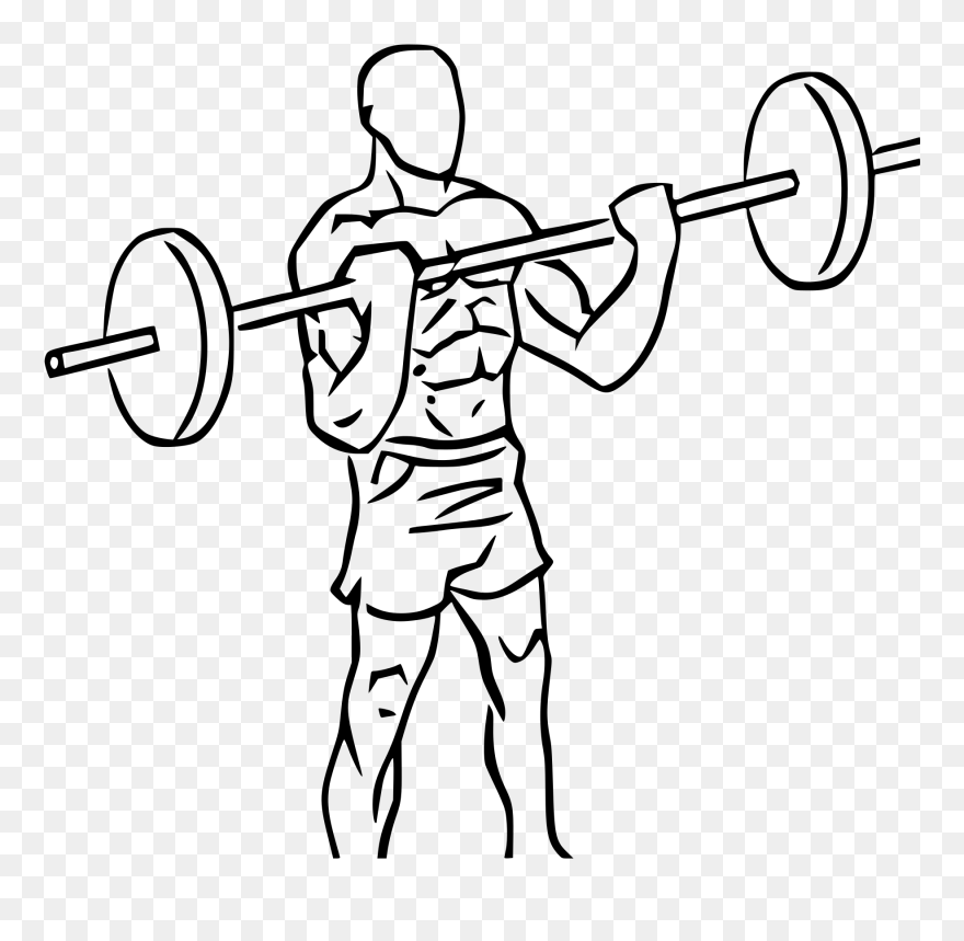 Barbell Transparent Drawing, Picture - Biceps Curls Png Clipart