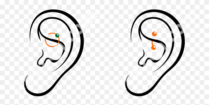 Clip Art - Png Download