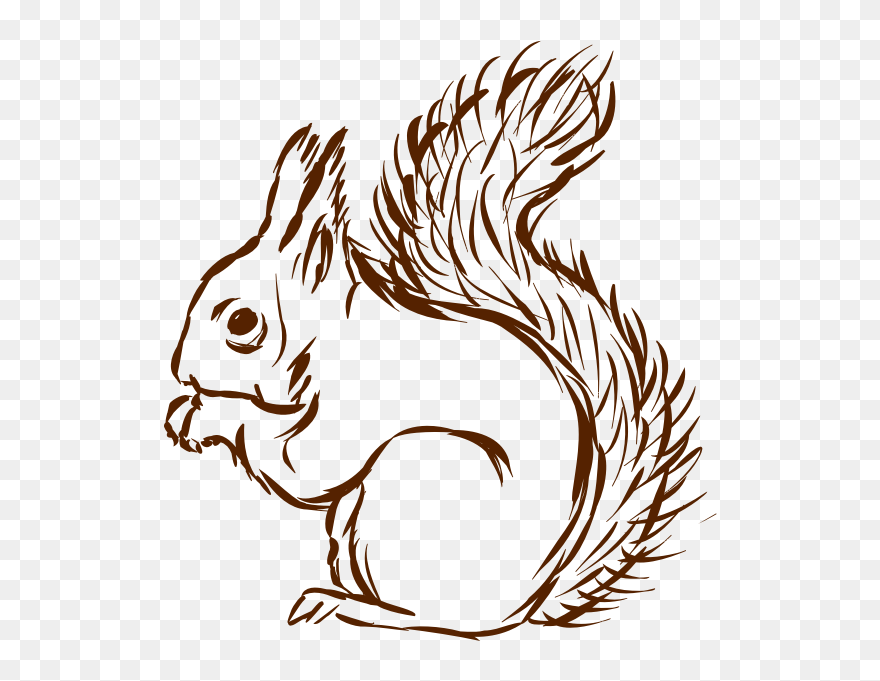 Squirrel-1577296289 - Illustration Clipart