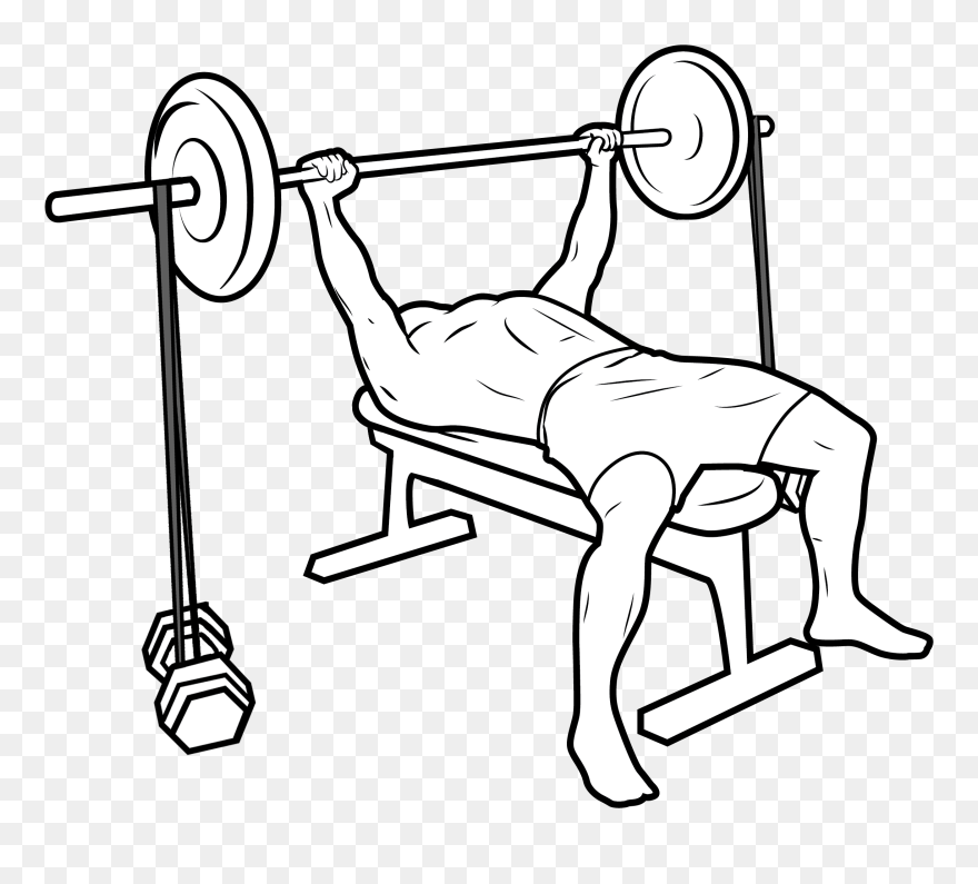 Bench Press - Bench Press Drawing Clipart