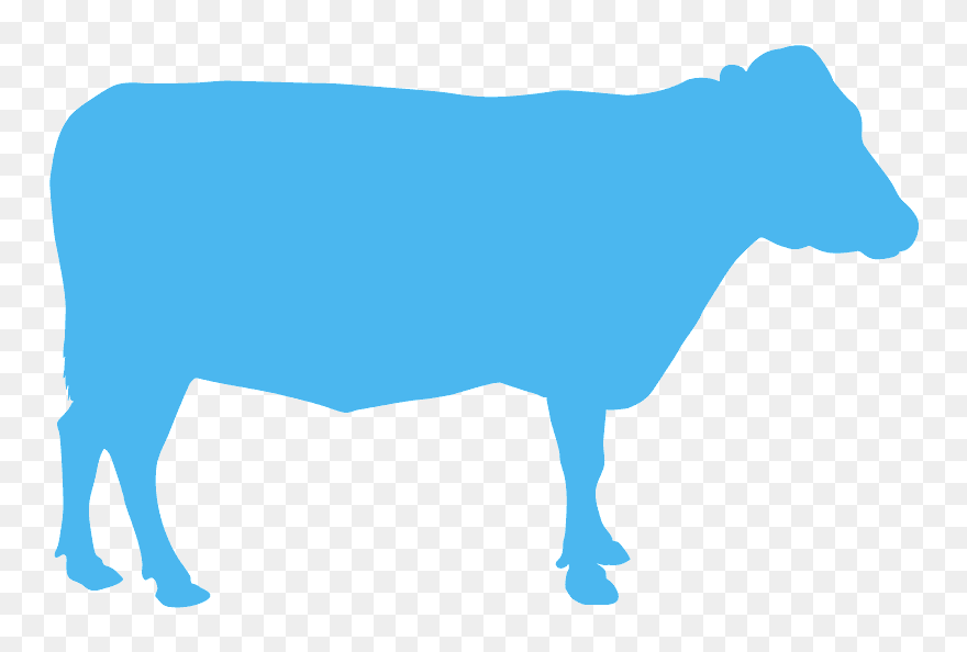 Transparent Cow Head Clip Art - Cattle - Png Download