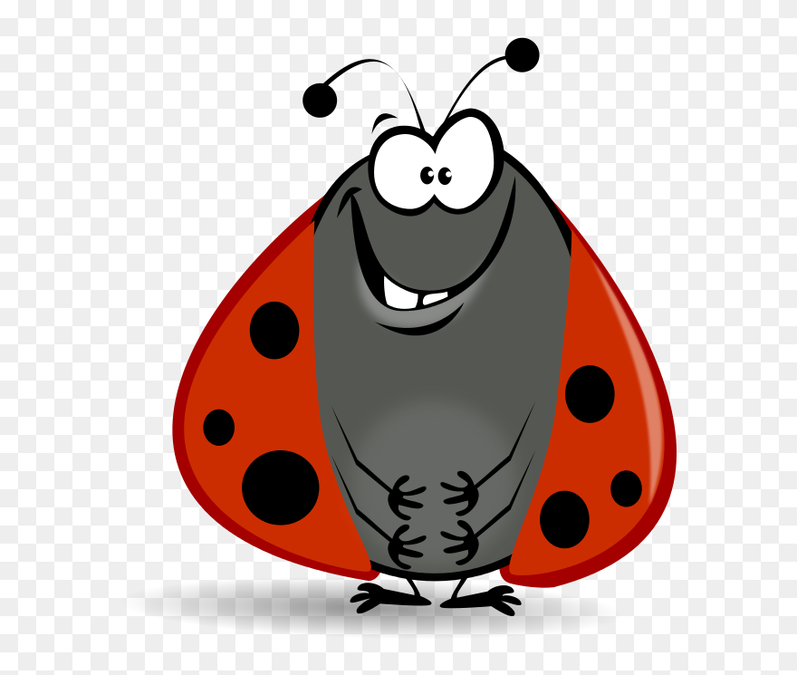 Cartoon Ladybugs Drawings Clipart