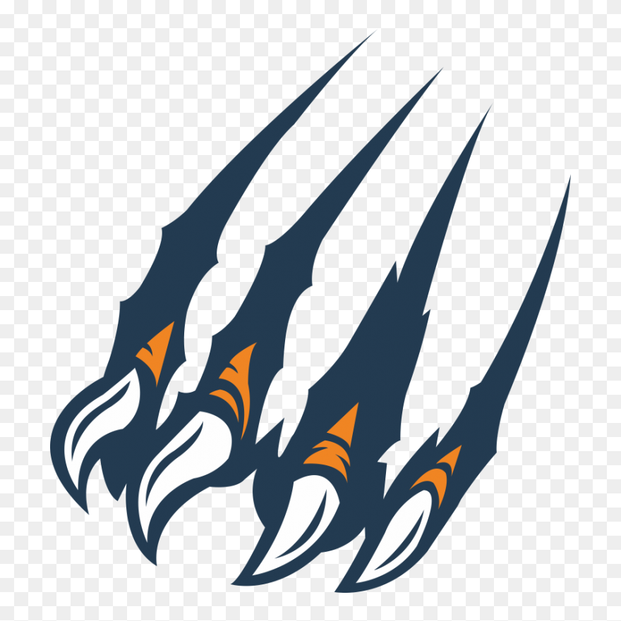 Felidae Golden Tiger Clip - Tiger Claw Vector - Png Download