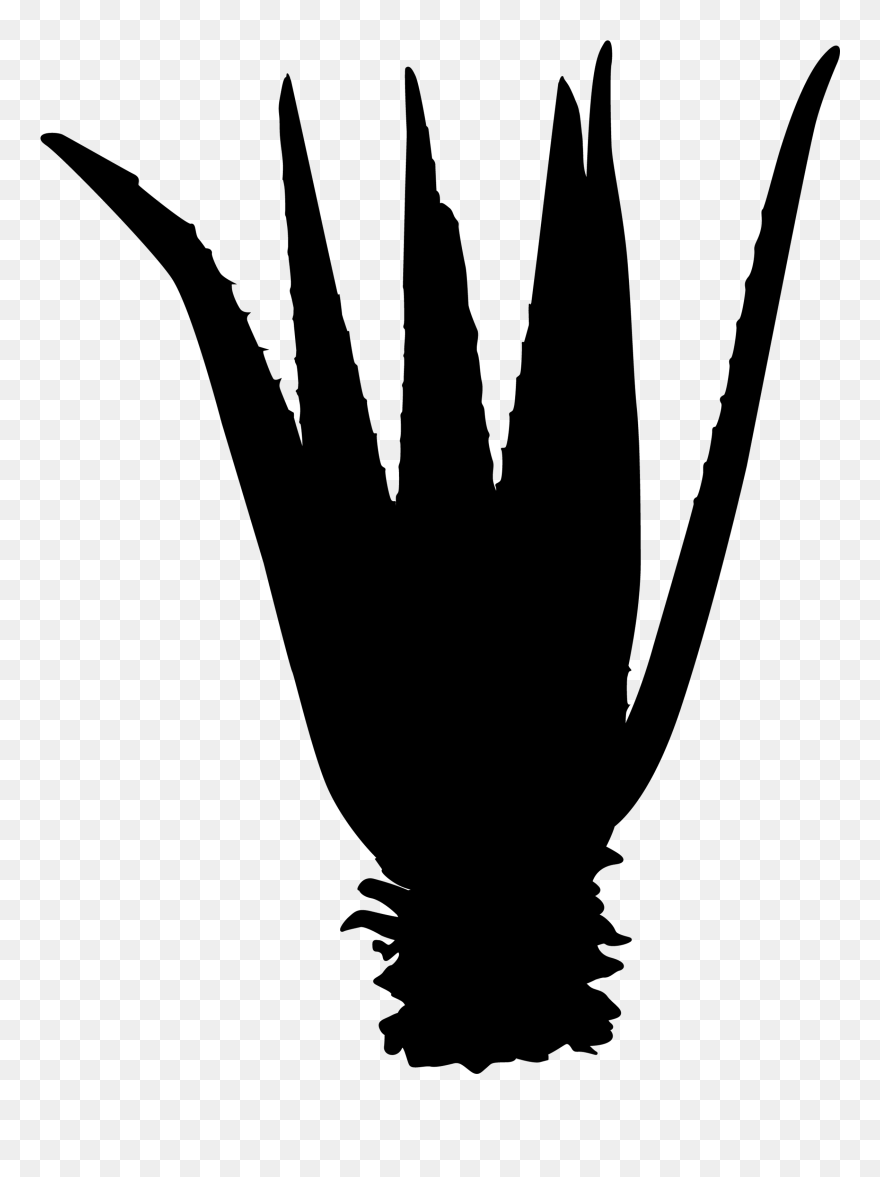 Beak Clip Art Finger Silhouette Feather - Hand - Png Download