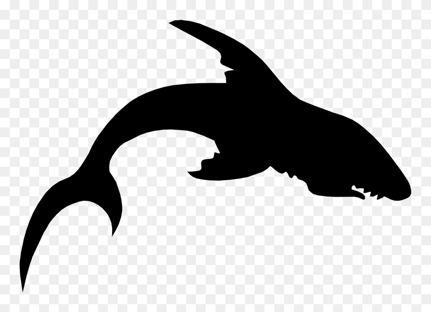 Clip Art Fauna Silhouette Beak Black M - Eagle - Png Download