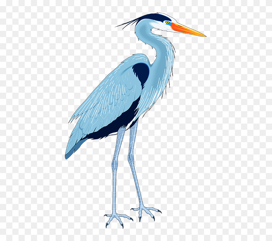 Great Blue Heron Drawing Clip Art - Blue Heron Clip Art - Png Download