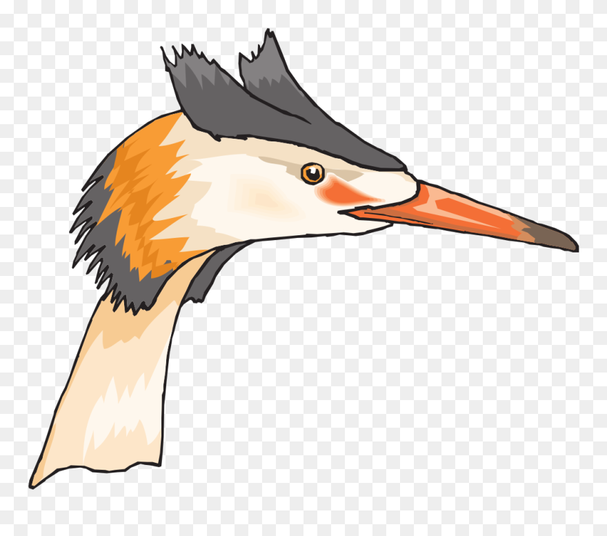 Kepala Burung Bangau Clipart