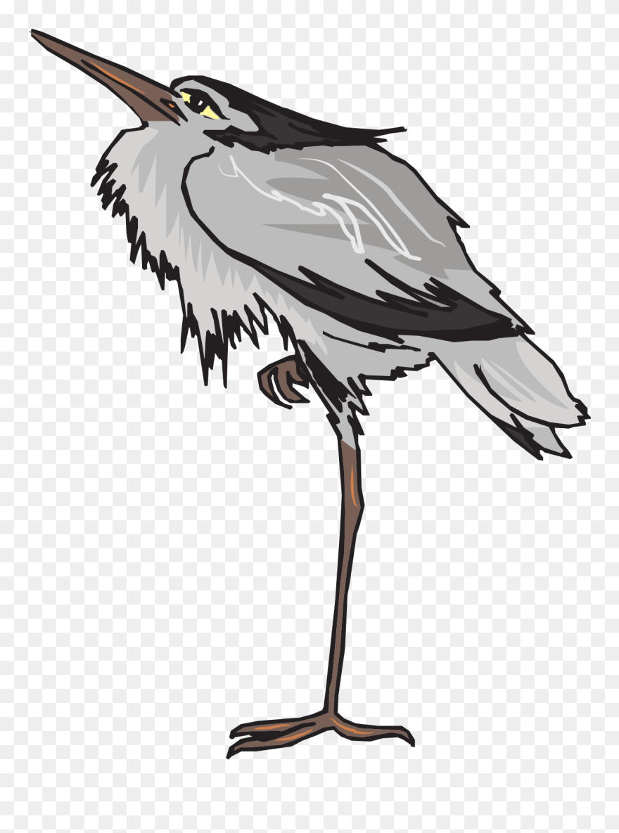 Vögel Die Auf Einem Bein Stehen Clipart