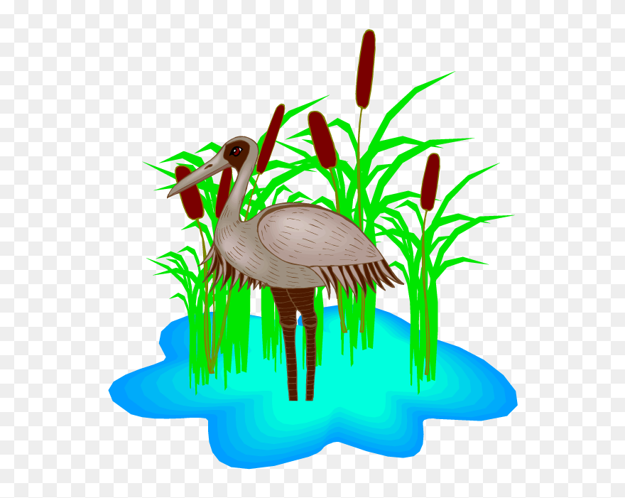 Heron Free Content Clip Art - Clip Art - Png Download