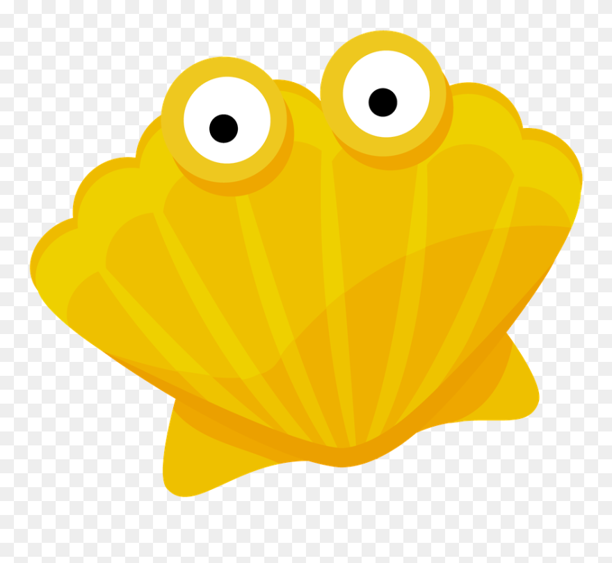 Coquille St Jacques Dessin Clipart