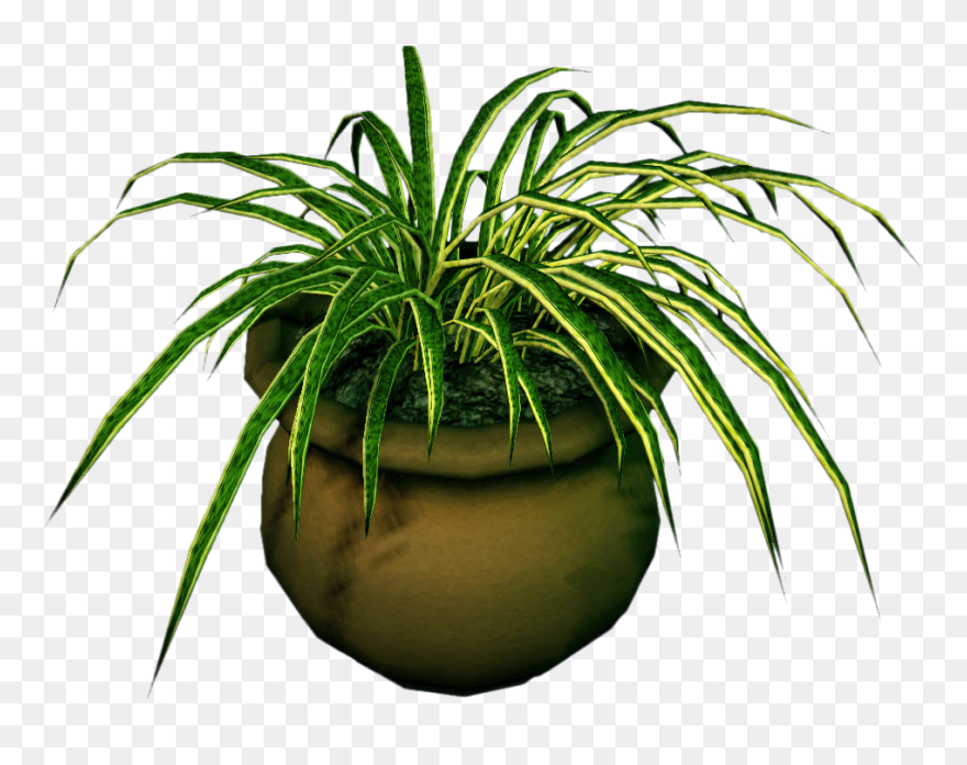 Transparent Marijuana Plant Clipart - Dead Plant Png
