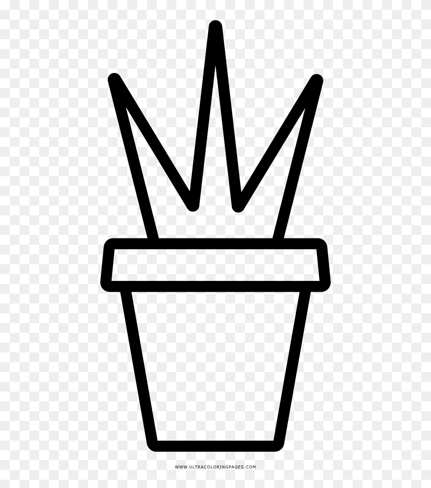 Potted Plant Coloring Page - Tiesto Dibujo Clipart