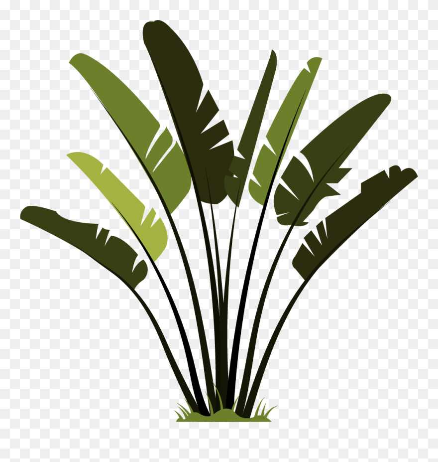 Clip Art - Png Download