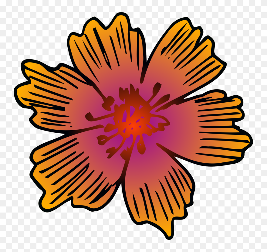 Chrysanths,plant,flower - Symmetrical Flower Design Clipart