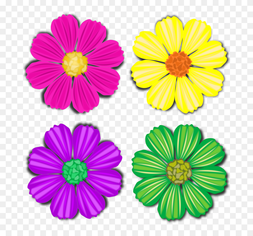Chrysanths,flower,garden Cosmos - Chrysanthemum Cartoon Clipart - Png Download