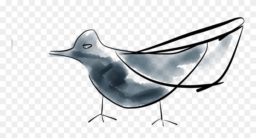 Swallow Clipart