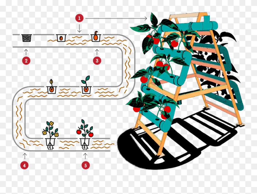 Illustration Clipart