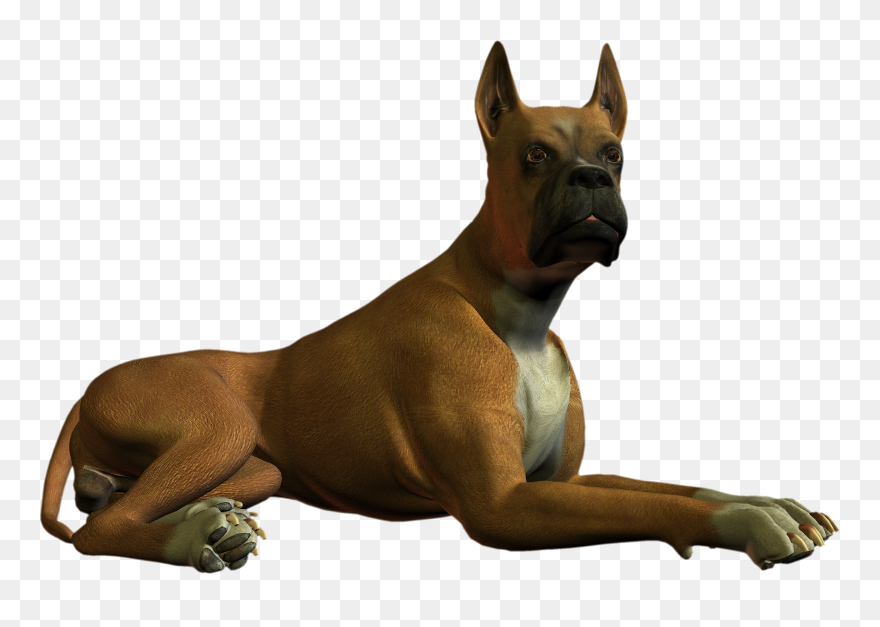 Posted By Todd A At - High Resolution Dog Png Clipart