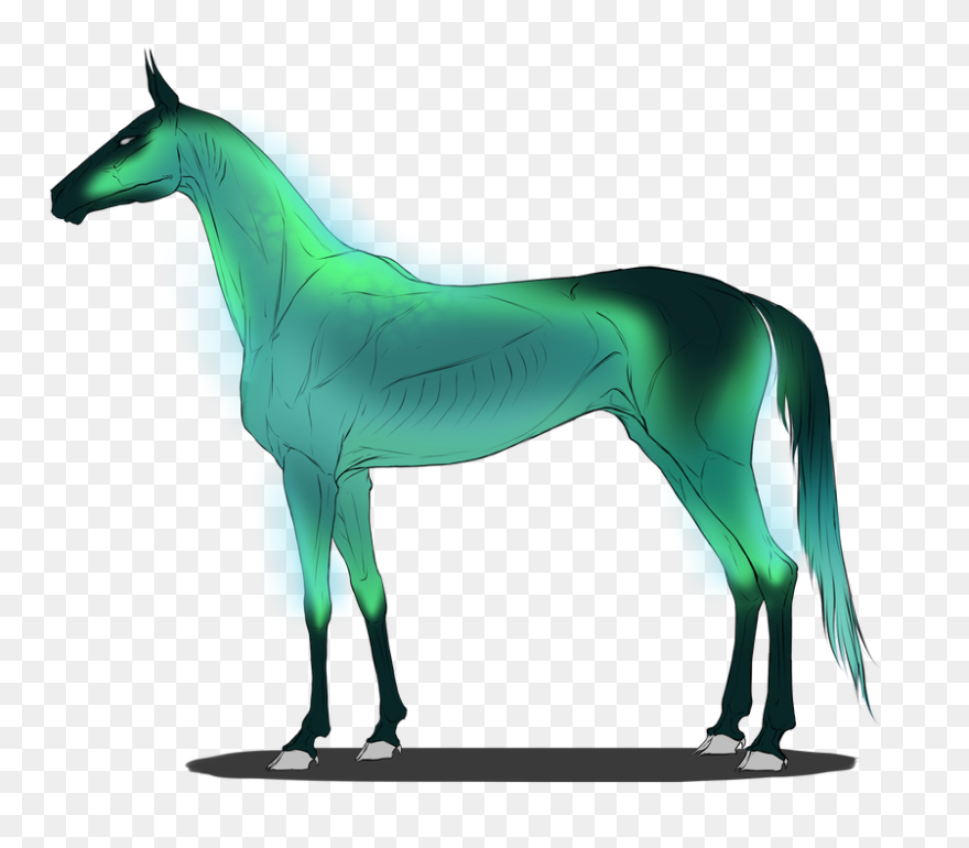 Barracuda - Mustang Horse Clipart
