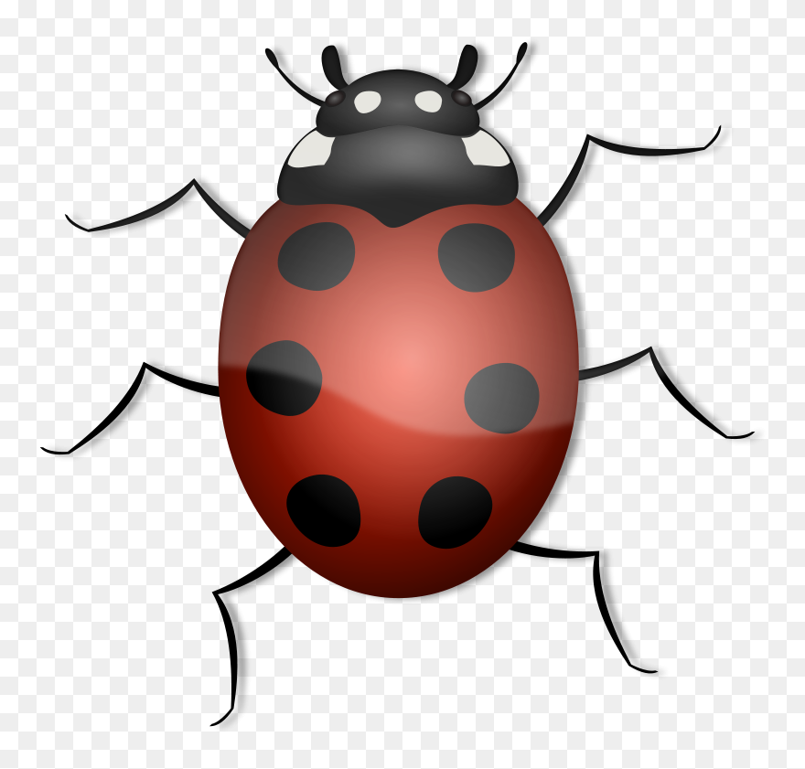 Get Notified Of Exclusive Freebies - Animal Has 6 Legs Clipart