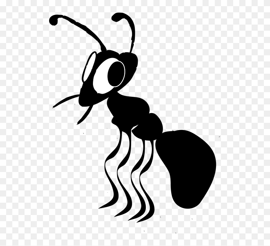 Legs Clipart Ant - Ant Cartoon Free Clip Art - Png Download