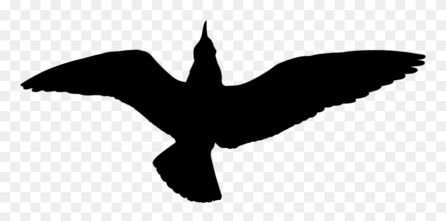 Seagull Silhouette Png - Silhouette Seagull Png Birds Clipart