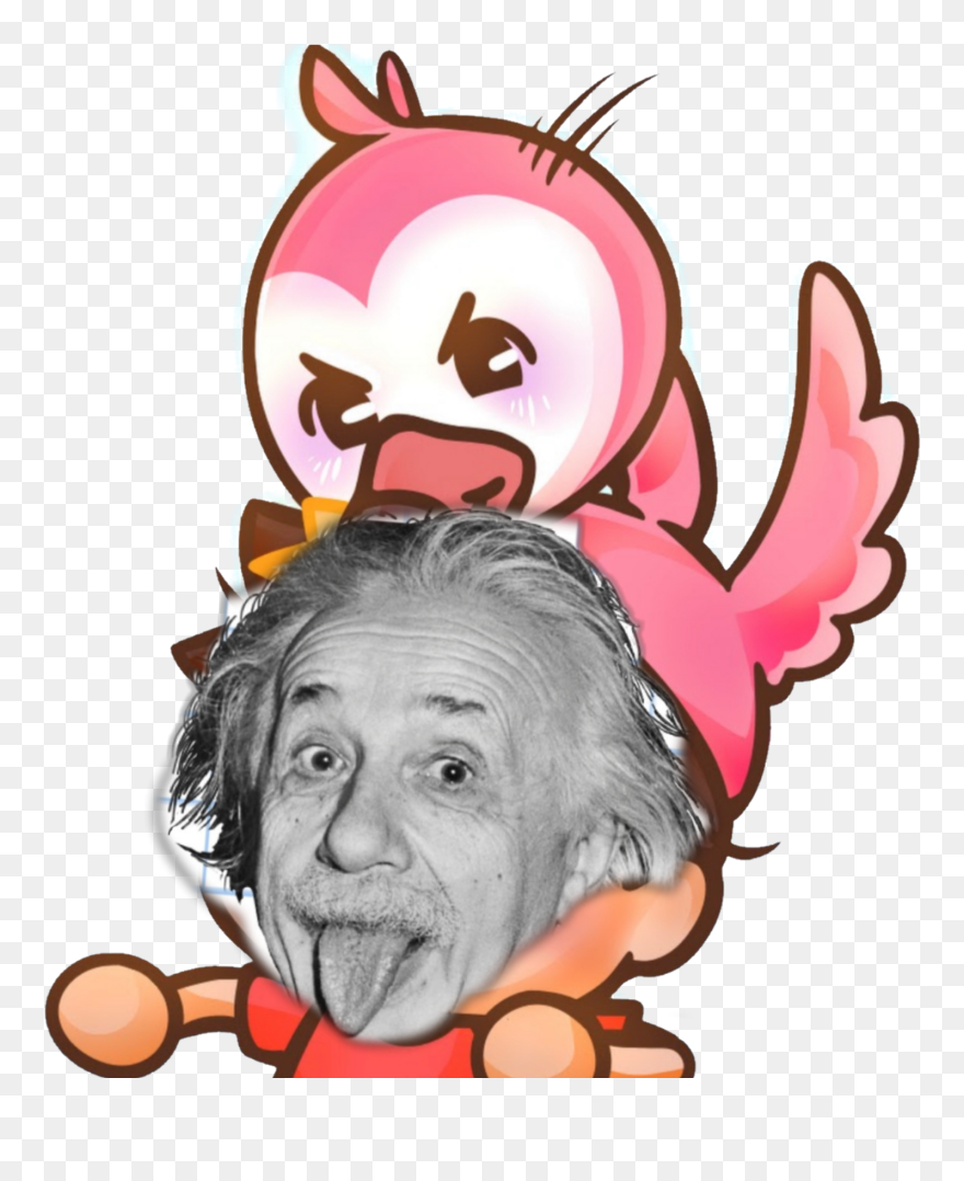 #albertstuff #alberteinstein - Flamingo Albert Roblox Clipart