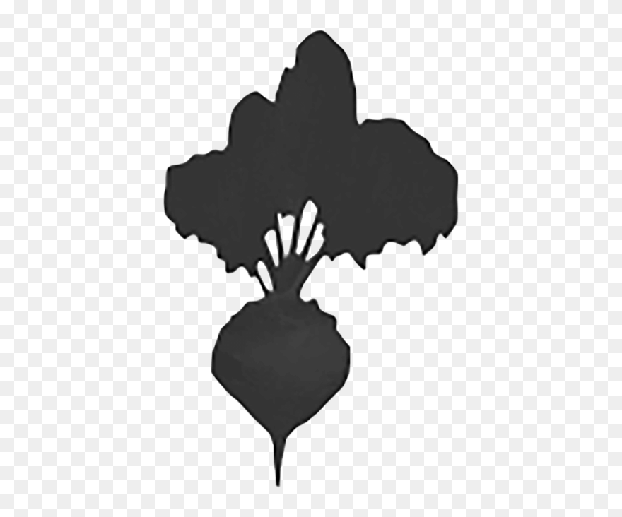 Illustration Clipart