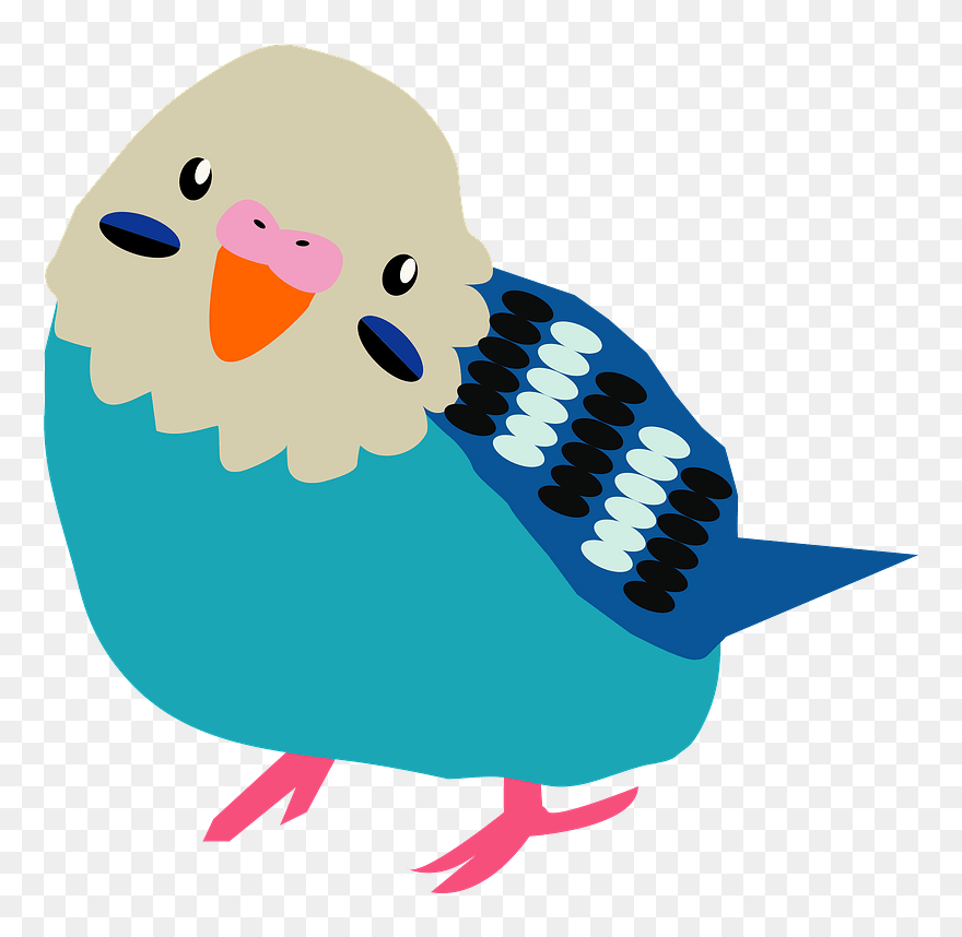 Budgerigar Parakeet Bird Clipart - Illustration - Png Download