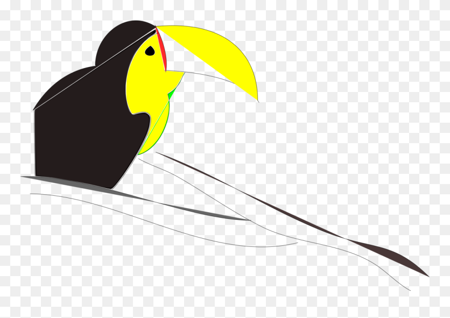 Neck,vertebrate,yellow - Penguin Clipart