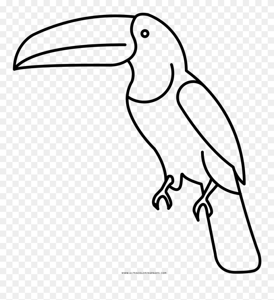 Toucan Coloring Page - Toucan Clipart Coloring - Png Download