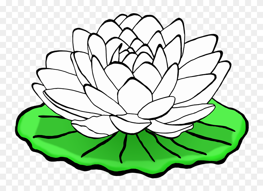 Lotus Flower Black And White Clipart - Png Download