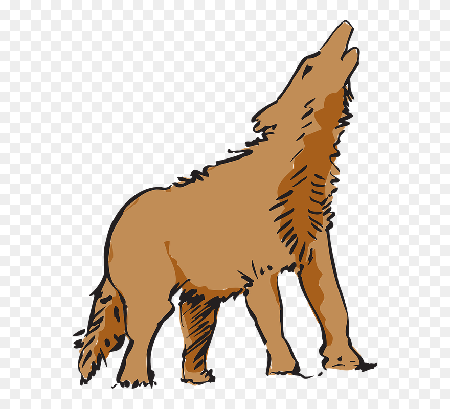 Wolf, Howling, Canine, Lobo, - Wolf Clipart Panda - Png Download