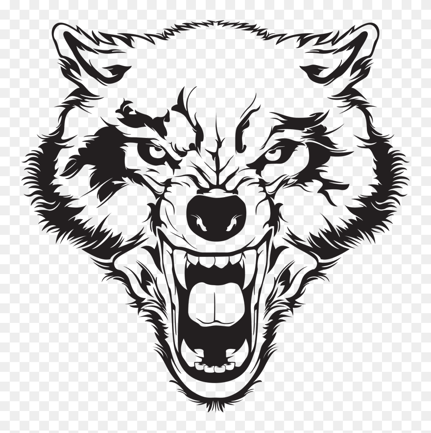 Wolf Face Growling Drawings Clipart