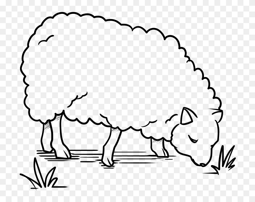 Sheep Clipart