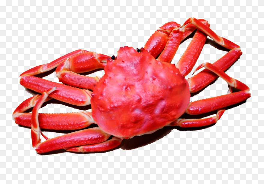Transparent Red Crab Png - Clipart Crab