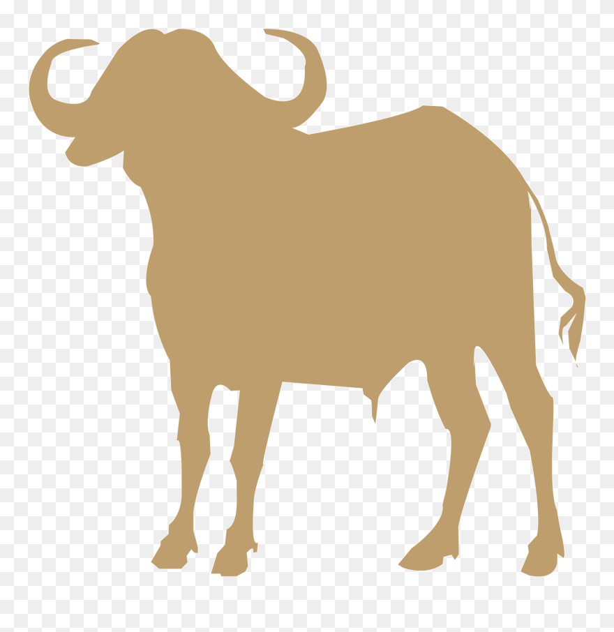 Buffalo Silhouette Vector Free Clipart